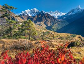 Lais Puzzle - Blick auf das Khumbu-Tal und die Gipfel des Everest und der Ama Dablam durch rote Blätter an einem klaren, sonnigen Tag, Nepal - 1.000 Teile