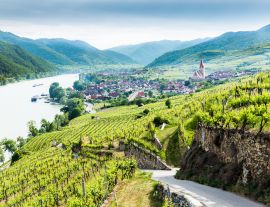 Lais Puzzle - Blick in die Wachau mit der Donau und dem Ort Weißenkirchen in Niederösterreich - 1.000 Teile