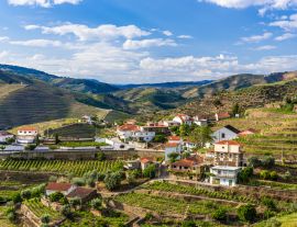 Lais Puzzle - Landschaft der Douro-Flussregion in Portugal - Weinberge - 1.000 Teile