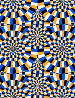 Lais Puzzle - Optische Illusion bewegte Kreise - 1.000 Teile