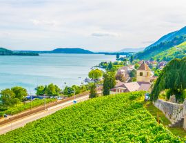 Lais Puzzle - Das Dorf Twann-Tüscherz am Bielersee in der Nähe von Biel/Bienne in der Schweiz - 1.000 Teile