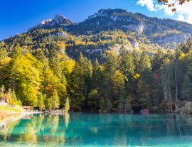 Lais Puzzle - Naturpark Blausee in Kandersteg, Schweiz, Herbstfärbung mit klarem Wasser - 1.000 Teile