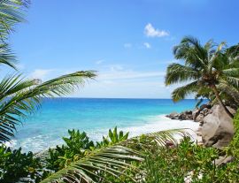 Lais Puzzle - Schöner Palmenstrand auf der tropischen Insel der Seychellen. Weißer Sandstrand mit Bäumen am Ufer des Indischen Ozeans. Paradiesischer, abgelegener Strand in der Sommersaison - 1.000 Teile