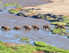 Lais Puzzle - Elefant beim Überqueren des Olifant-Flusses im Krüger-Nationalpark in Südafrika - 1.000 Teile