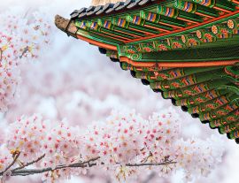 Lais Puzzle - Gyeongbokgung-Palast mit Kirschblüten im Frühling, Korea - 1.000 Teile