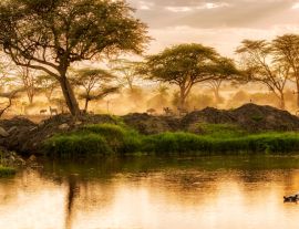 Lais Puzzle - Sonnenuntergang über dem Fluss in der Serengeti, Tansania - 1.000 Teile