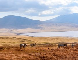 Lais Puzzle - Pirschfahrt mit Safari-Auto im Serengeti-Nationalpark in schöner Landschaftskulisse, Tansania, Afrika - 1.000 Teile
