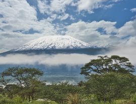 Lais Puzzle - Bilder von dem schneebedeckten Kilimandscharo in Tansania - 1.000 Teile
