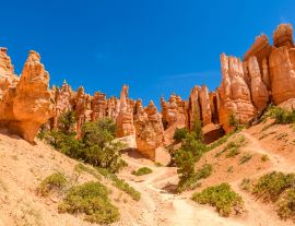 Lais Puzzle - Bryce Canyon National Park - Wanderung auf dem Queens Garden Trail und Najavo Loop in den Canyon, Utah - 1.000 Teile