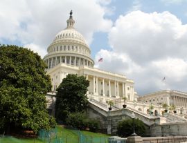 Lais Puzzle - Kapitol der Vereinigten Staaten - 1.000 Teile