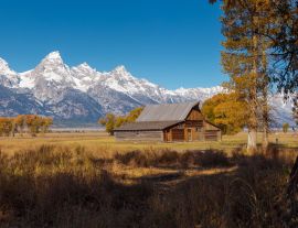 Lais Puzzle - T.A. Moulton Barn im Mormon Row Historic District im Grand Teton National Park, Wyoming - 1.000 Teile