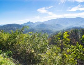 Lais Puzzle - Great Smoky Mountains in der Nähe von Gatlinburg, Tennessee - 1.000 Teile