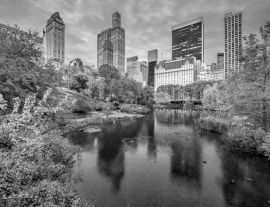Lais Puzzle - Central Park New York im Herbst in schwarz weiß - 1.000 Teile