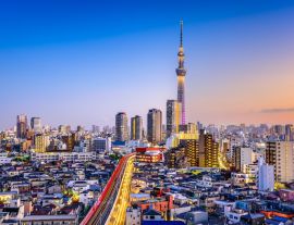 Lais Puzzle - Tokio, Japan Stadtbild - 1.000 Teile