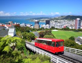 Lais Puzzle - Wellington Stadt - 1.000 Teile