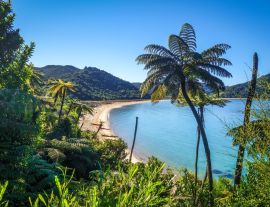 Lais Puzzle - Abel Tasman National Park, Neuseeland - 1.000 Teile