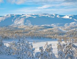 Lais Puzzle - Berglandschaft Telemark, Norwegen - 1.000 Teile