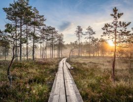 Lais Puzzle - Aussicht vom Sumpf mit Holzpfad und schönem Sonnenaufgang am Herbstmorgen in Finnland - 1.000 Teile