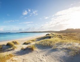 Lais Puzzle - Neuseeländische Küste - 1.000 Teile