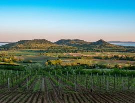 Lais Puzzle - Weinberge und der Berg Badacsony mit dem Plattensee bei Sonnenuntergang in Ungarn - 1.000 Teile