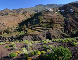 Lais Puzzle - Alojera im Westen von La Gomera - 1.000 Teile