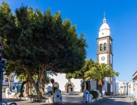 Lais Puzzle - Haría auf Lanzarote - 1.000 Teile