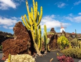 Lais Puzzle - Guatiza, Lanzarote - 1.000 Teile