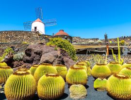 Lais Puzzle - Guatiza, Lanzarote - 1.000 Teile