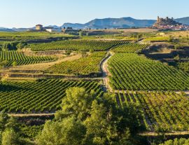 Lais Puzzle - Weinberg, La Rioja - 1.000 Teile