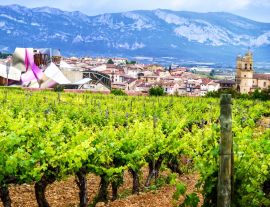 Lais Puzzle - Elciego, Rioja, Spanien - 1.000 Teile