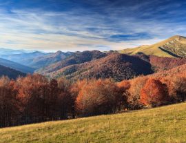 Lais Puzzle - Dschungel von Irati, Navarra - 1.000 Teile