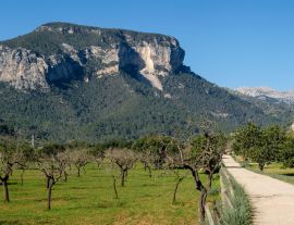 Lais Puzzle - Naturgebiet der Sierra de Tramuntana, Mallorca - 1.000 Teile