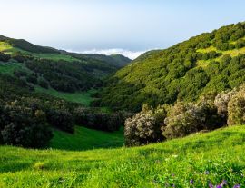 Lais Puzzle - El Hierro - 1.000 Teile