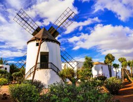 Lais Puzzle - Fuerteventura - traditionelle Windmühle im Dorf Antigua - 1.000 Teile