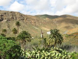 Lais Puzzle - Vega Rio de Palmas, Fuerteventura - 1.000 Teile