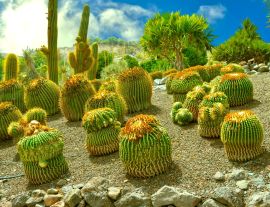 Lais Puzzle - La Oliva, Fuerteventura - 1.000 Teile