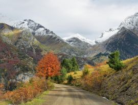 Lais Puzzle - Herbstszene im Tal von Bujaruelo, Provinz Huesca, Spanien - 1.000 Teile