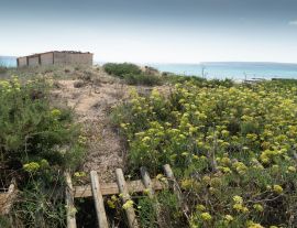 Lais Puzzle - Sant Ferran de ses Roques, Formentera Balearen Spanien  - 1.000 Teile