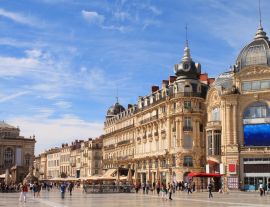 Lais Puzzle - Montpellier, Frankreich - 1.000 Teile