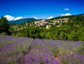 Lais Puzzle - Lavendelfeld vor dem Dorf Aurel, Frankreich - 1.000 Teile