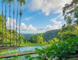 Lais Puzzle - Jardins de la Balata in Fort-De-France, Martinique - 1.000 Teile
