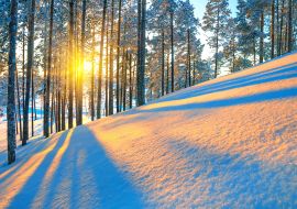 Lais Puzzle - Sonnenschein im winterlichen Wald - 100, 200, 500 & 1.000 Teile