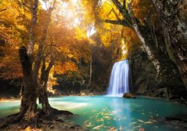 Lais Puzzle - Wasserfall - 100, 200, 500 & 1.000 Teile