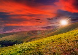 Lais Puzzle - Waldpanorama im Sonnenlicht - 100, 200, 500 & 1.000 Teile