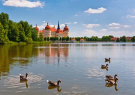 Lais Puzzle - Blick auf Schloss Moritzburg - 100, 200, 500 & 1.000 Teile