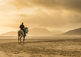 Lais Puzzle - Reiter am Strand - 100, 200, 500 & 1.000 Teile