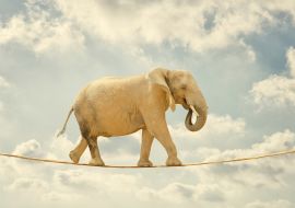 Lais Puzzle - Elefant auf Seil - 1.000 Teile