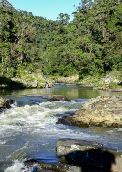 Lais Puzzle - Madagascar - 1.000 Teile